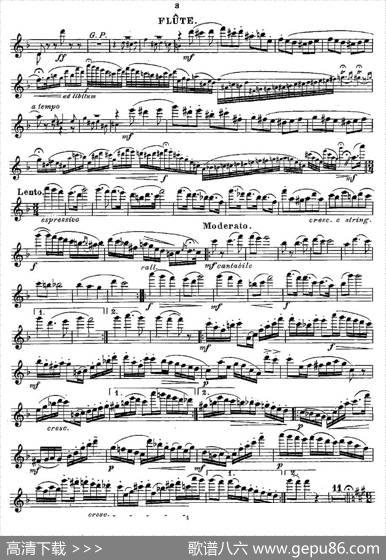 Fantaisiesnationales.Op.59,5.|Andersen（安德森）