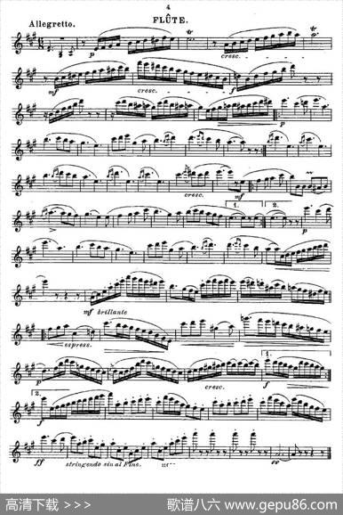 Fantaisiesnationales.Op.59,5.|Andersen（安德森）