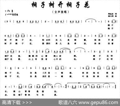 桐子树开桐子花