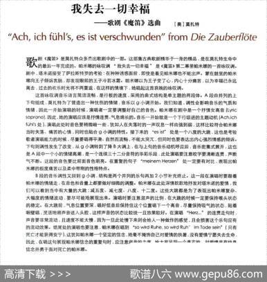 我失去一切幸福（歌剧《魔笛》选曲）|[奥]莫扎特
