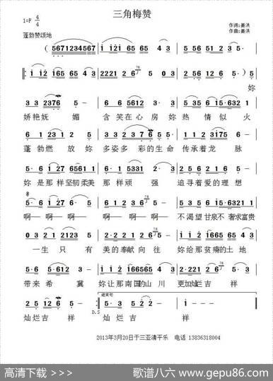 三角梅赞 - 姜洪|姜洪