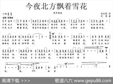今夜北方飘着雪花（刘世新词刘琦曲） - 刘世新|刘琦