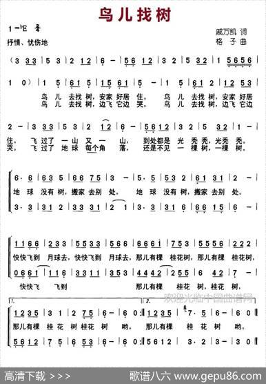 鸟儿找树（合唱） - 戚万凯|格子