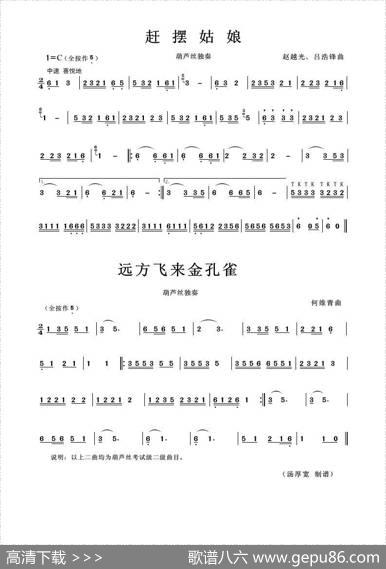 赶摆姑娘远方飞来金孔雀（葫芦丝曲二首）|赵越光等
