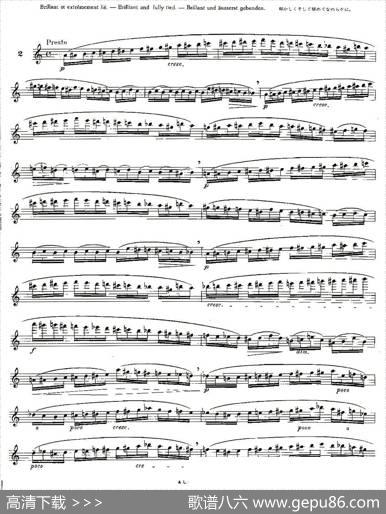 12首大技巧练习曲之2|Moyse（莫伊斯）