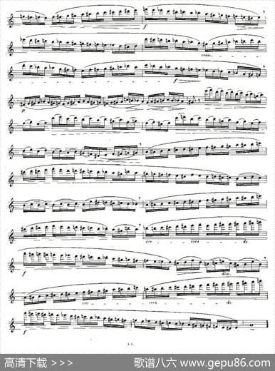 12首大技巧练习曲之2|Moyse（莫伊斯）