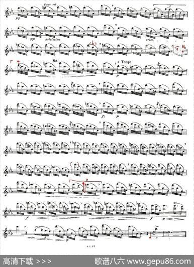 12首大技巧练习曲之3|Moyse（莫伊斯）