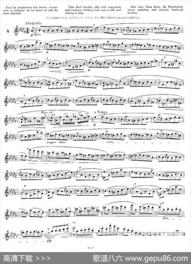 12首大技巧练习曲之4|Moyse（莫伊斯）
