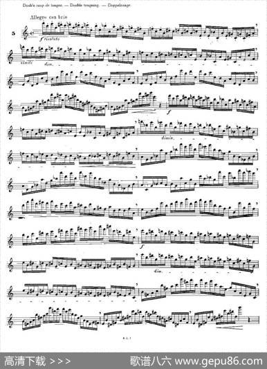 12首大技巧练习曲之5|Moyse（莫伊斯）