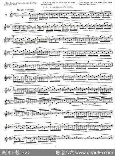 12首大技巧练习曲之6|Moyse（莫伊斯）