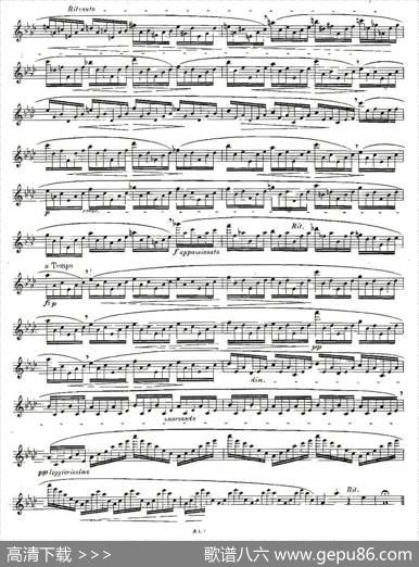12首大技巧练习曲之6|Moyse（莫伊斯）