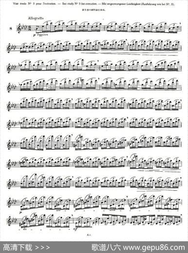 12首大技巧练习曲之8|Moyse（莫伊斯）