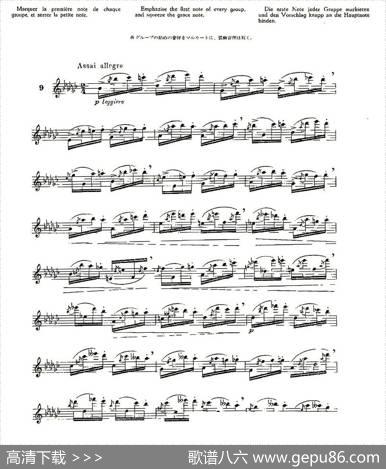 12首大技巧练习曲之9|Moyse（莫伊斯）
