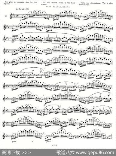 12首大技巧练习曲之10|Moyse（莫伊斯）