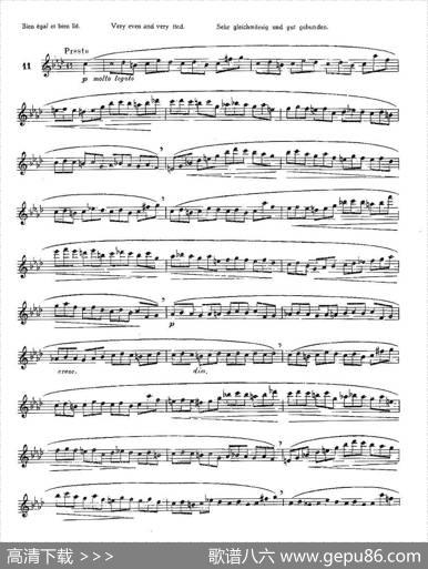 12首大技巧练习曲之11|Moyse（莫伊斯）