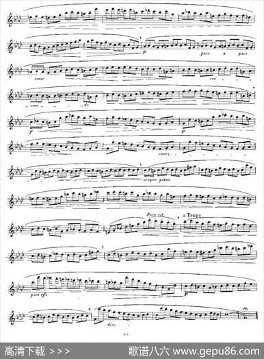 12首大技巧练习曲之11|Moyse（莫伊斯）