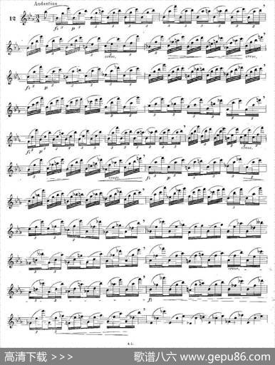 12首大技巧练习曲之12|Moyse（莫伊斯）