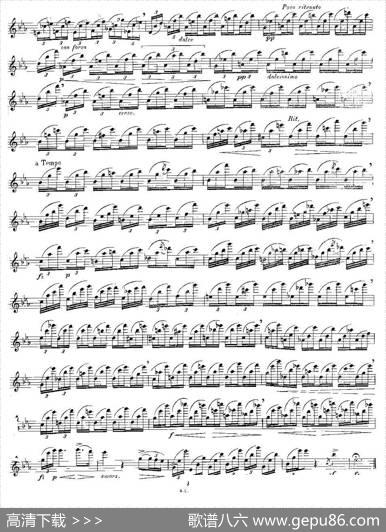 12首大技巧练习曲之12|Moyse（莫伊斯）