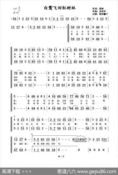 白鹭飞回红树林 - 郑南|龙伟华