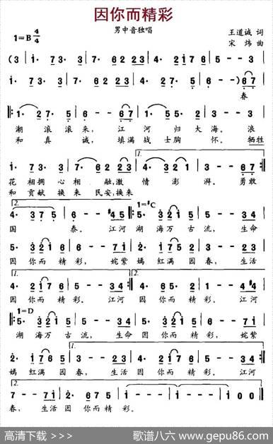 因你而精彩（王道斌词宋炜曲） - 王道斌|宋炜