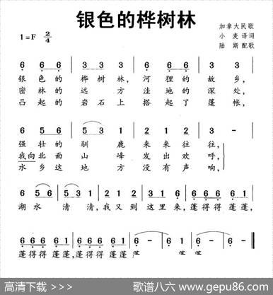 [加拿大]银色的桦树林