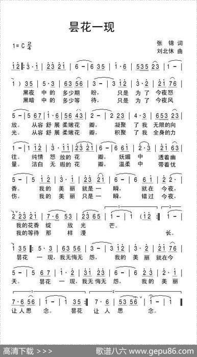 昙花一现（张锦词刘北休曲） - 张锦|刘北休