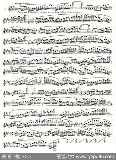 基于维尼亚夫斯基练习曲的10首长笛练习曲之5（Moyse-10StudiesAfterWieniawski）|莫伊斯Moyse