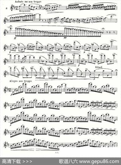 基于维尼亚夫斯基练习曲的10首长笛练习曲之6（Moyse-10StudiesAfterWieniawski）|莫伊斯Moyse