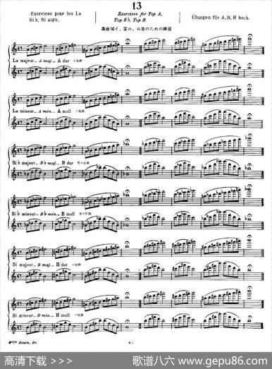 初级练习之13（AlphonseLudec-DebutantFlutiste）|莫伊斯Moyse