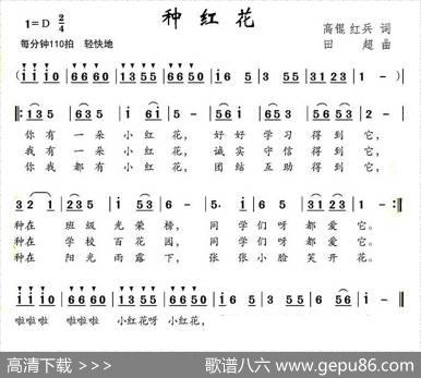种红花（高琨红兵词田超曲） - 高琨红兵|田超