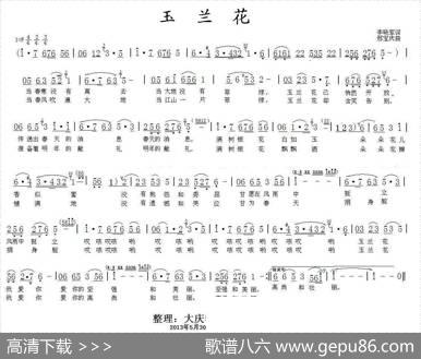 玉兰花 - 李晓军|邢宝庆