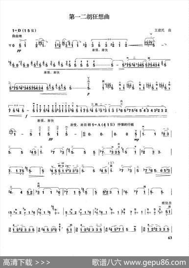 第一二胡狂想曲|王建民