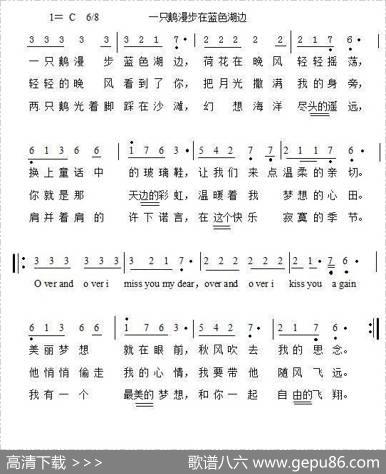 一只鹅漫步蓝色湖边