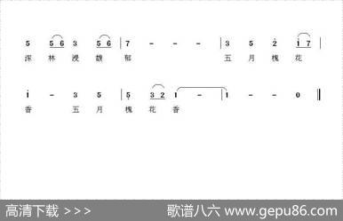 五月槐花香（杨福俊词曲） - 杨福俊|杨福俊