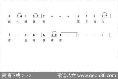 五月槐花香（杨福俊词曲） - 杨福俊|杨福俊