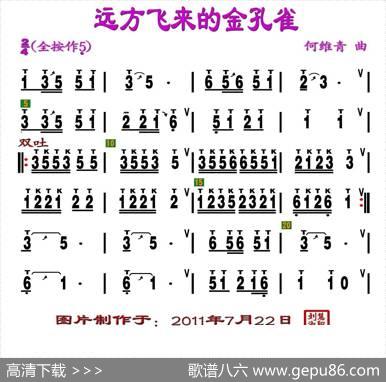远方飞来的金孔雀（刘慧淑制谱版）|何维青