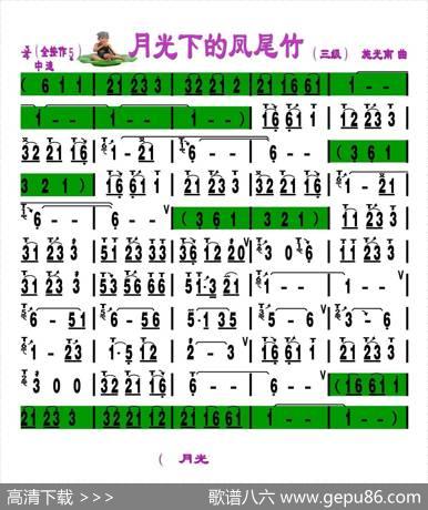 月光下的凤尾竹（刘慧淑制谱版）|施光南