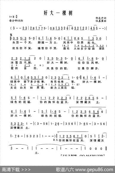 好大一颗树 - 邹友开|伍嘉冀