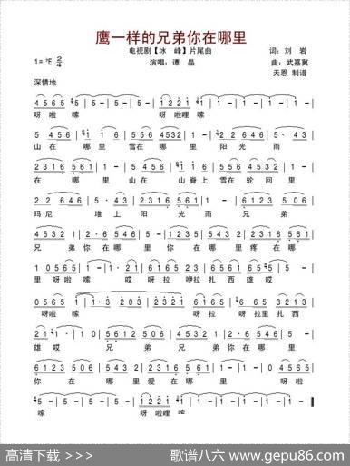鹰一样的兄弟你在哪里（电视剧《冰峰》片尾曲） - 刘岩|武嘉冀
