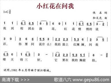 小红花在问我 - 佚名|和文光