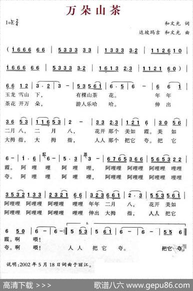 万朵山茶 - 和文光|达坡玛吉、和文光
