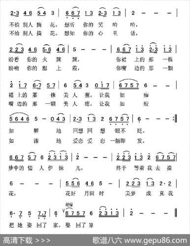 梦中的情人伊妹儿 - 乐音|杨瑞庆