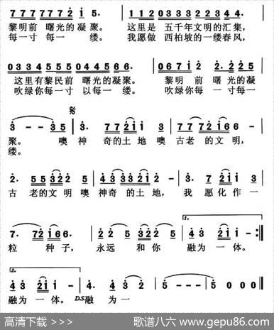 我深爱的这片土地