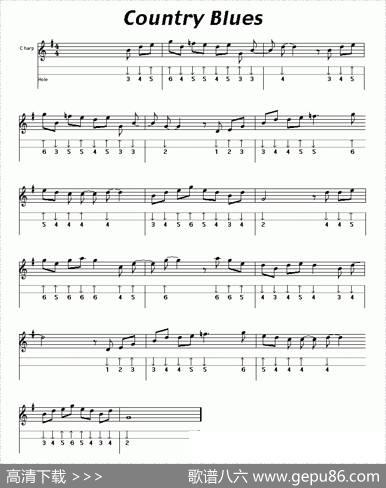 CountryBlues（布鲁斯）