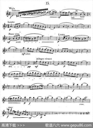 奇特克-萨克斯练习曲之15（ETUDYPROSAXOPHON-FRZITRK.op.3）