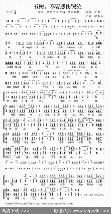 玉树，不要悲伤哭泣 - 小磊|小磊
