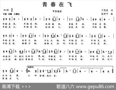 青春在飞