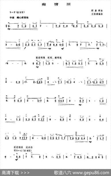 痴情泪|王国潼编曲