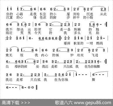 白桦林之恋（付忠霞词荣亚楠曲） - 付忠霞|荣亚楠