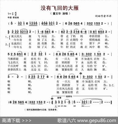 没有飞回的大雁 - 晨枫|孟庆云